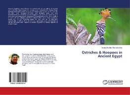 Ostriches & Hoopoes in Ancient Egypt