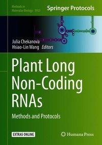 Plant Long Non-Coding RNAs