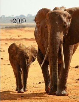 2019 ELEPHANT DAILY PLANNER
