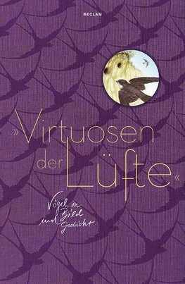 »Virtuosen der Lüfte«