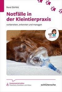 Häufige Notfälle bei Hund und Katze