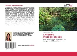 Criterios metodológicos