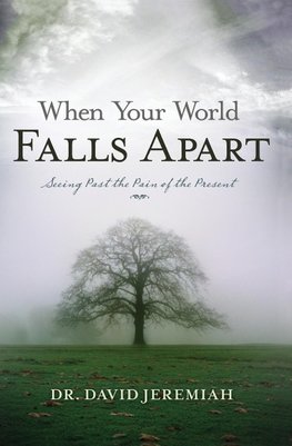 The When Your World Falls Apart
