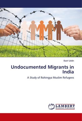 Undocumented Migrants in India