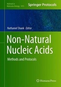 Non-Natural Nucleic Acids