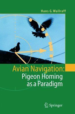 Wallraff, H: Avian Navigation