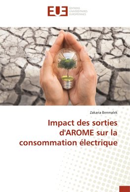 Impact des sorties d'AROME sur la consommation électrique
