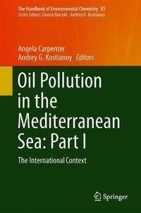 Oil Pollution in the Mediterranean Sea: Part I