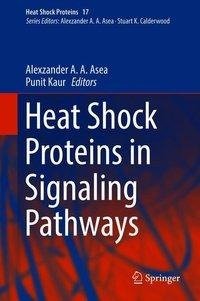 Heat Shock Proteins in Signaling Pathways