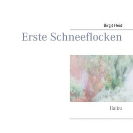 Erste Schneeflocken