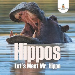 Hippos - Let's Meet Mr. Hippo
