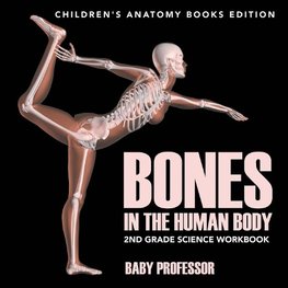 Bones in The Human Body