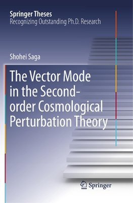 The Vector Mode in the Second-order Cosmological Perturbation Theory