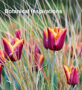 Botanical Inspirations