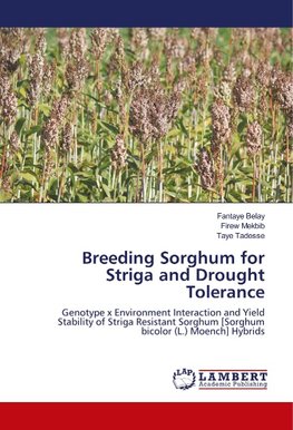 Breeding Sorghum for Striga and Drought Tolerance
