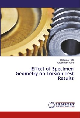 Effect of Specimen Geometry on Torsion Test Results
