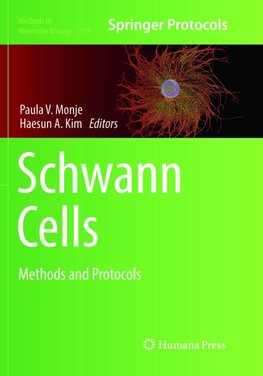 Schwann Cells