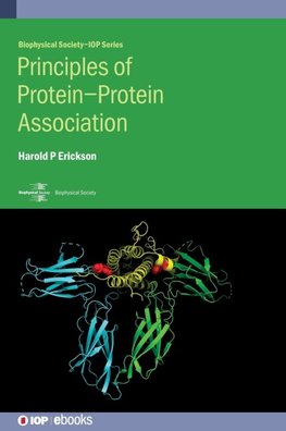 Principles of Protein-Protein Association