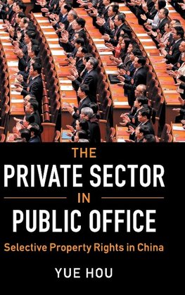 The Private Sector in Public Office