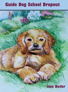 Guide Dog School Dropout