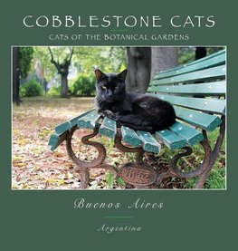 COBBLESTONE CATS - BA