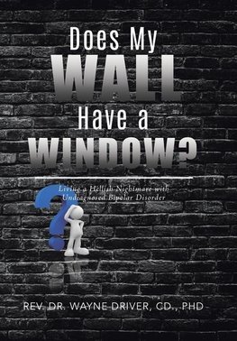 Does My Wall Have A Window?