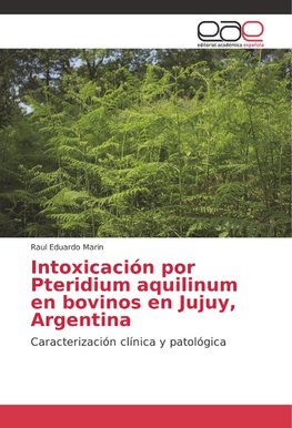 Intoxicación por Pteridium aquilinum en bovinos en Jujuy, Argentina