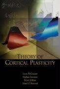 Theory of Cortical Plasticity