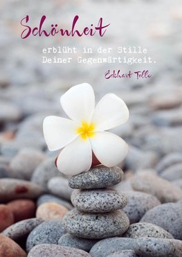Eckhart Tolle Postkarten "Schönheit"