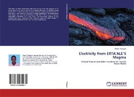 Electricity from ERTA'ALE'S Magma