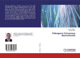 Paleogene Calcareous Nannofossils