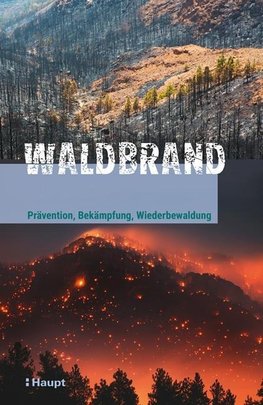Waldbrand
