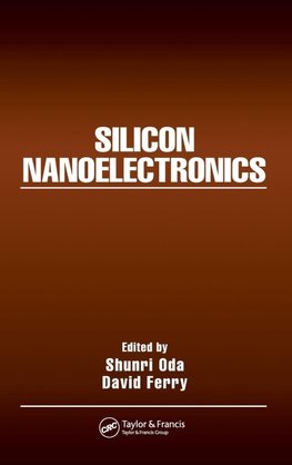 Silicon Nanoelectronics
