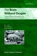 The Brain Without Oxygen