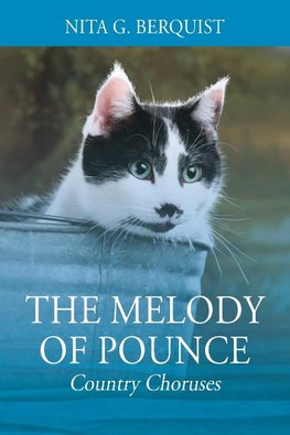 The Melody of Pounce