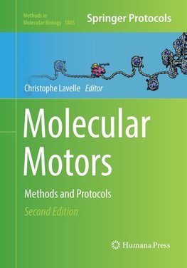 Molecular Motors