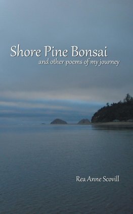 Shore Pine Bonsai