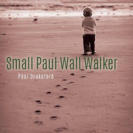 Small Paul Wall Walker