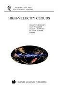 High-Velocity Clouds