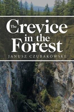 The Crevice in the Forest
