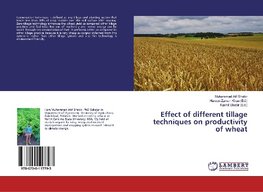 Effect of Different Tillage Techniques on Productivity of Wheat