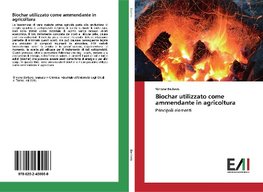 Biochar utilizzato come ammendante in agricoltura