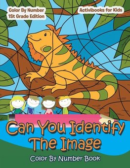 Can You Identify The Image Color By Number Book