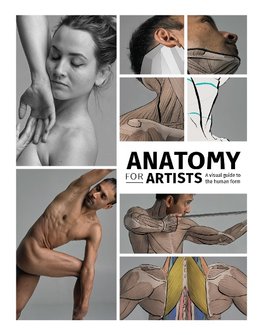 Anatomy for Artists