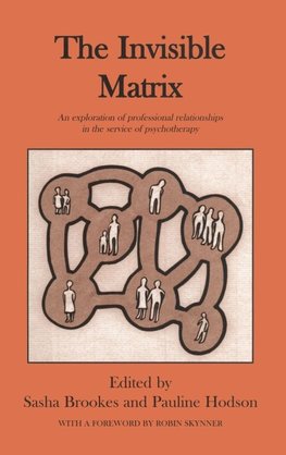 The Invisible Matrix