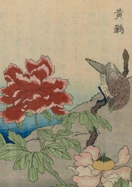 Carnet Ligné, Oiseaux étrangers