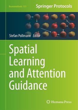 Spatial Learning and Attention Guidance