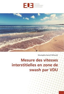 Mesure des vitesses interstitielles en zone de swash par VDU