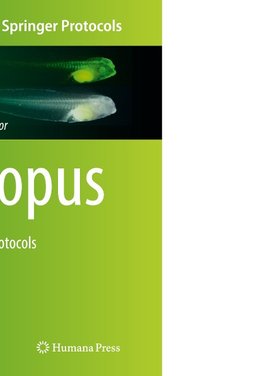 Xenopus