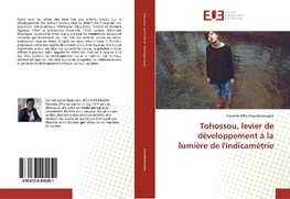 Tohossou, levier de développement à la lumière de l'indicamétrie